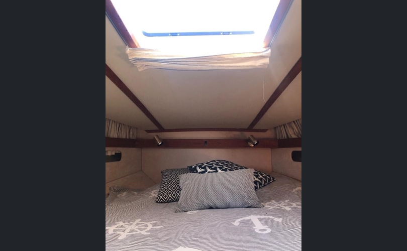 Fjord 1001 cc-kuva-12